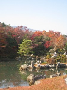 Arashiyama 1