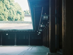 Meiji Shrine 2
