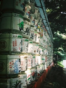 Meiji Shrine 3