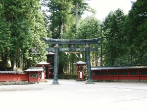 Nikko4