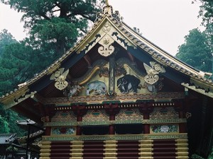 Nikko8