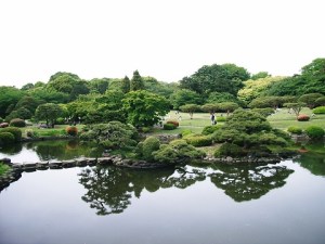 ShinjukuGyoen2