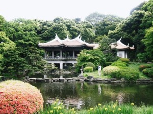 ShinjukuGyoen3