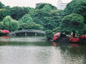 ShinjukuGyoen4