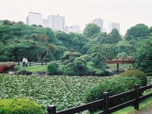 ShinjukuGyoen5