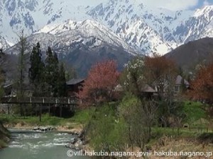 hakuba 1